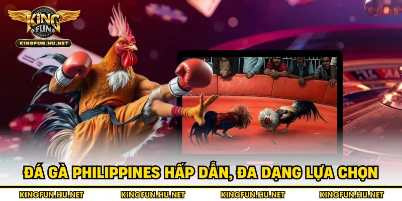 Đá gà Philippines hấp dẫn, đa dạng lựa chọn