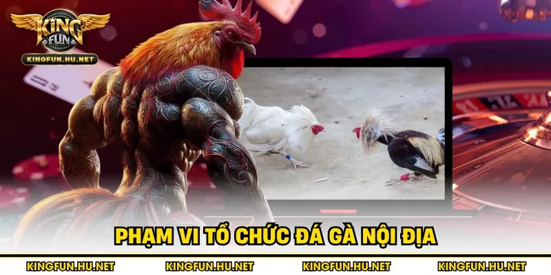 Phạm vi tổ chức đá gà nội địa