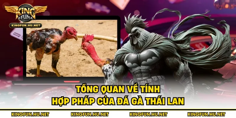 Tổng quan về tính hợp pháp của đá gà Thái Lan